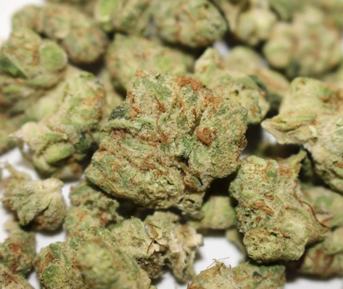 Yada Yada Cherry Do Si Dos indica cannabis