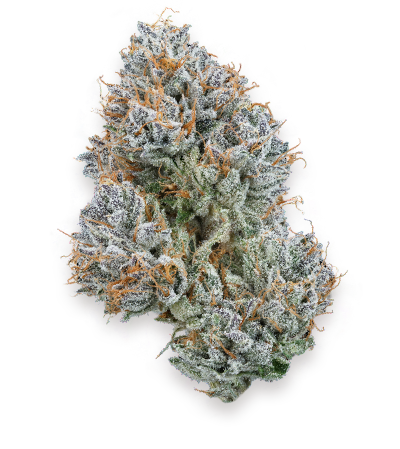 CBX Cannabis Cereal Milk Flower, Highland Park Dispensary